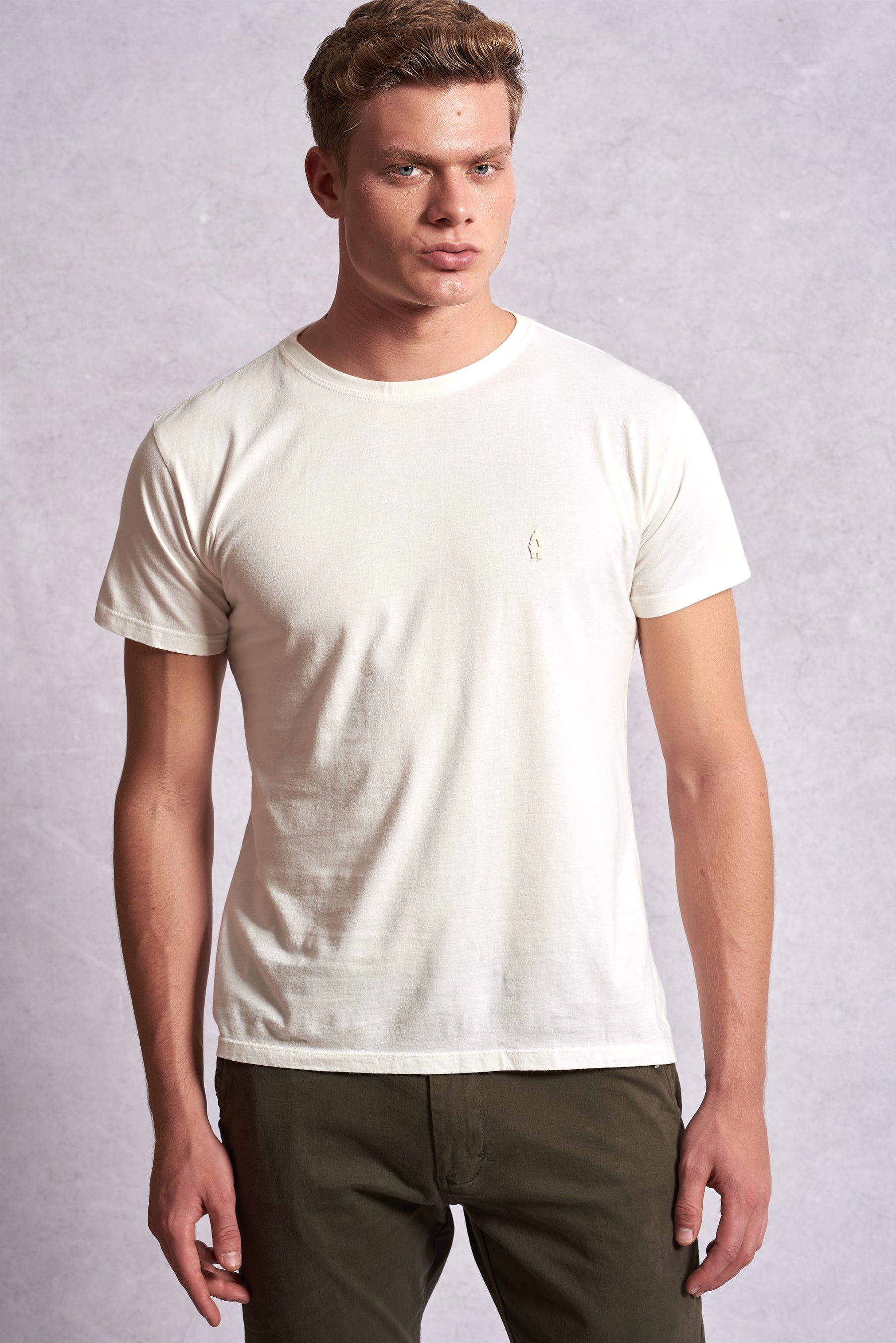 Camiseta Básica Regular